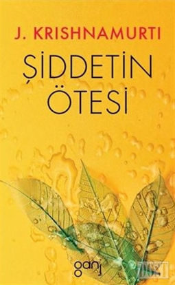 Şiddetin Ötesi